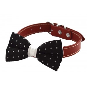 Papion catei negru c0001